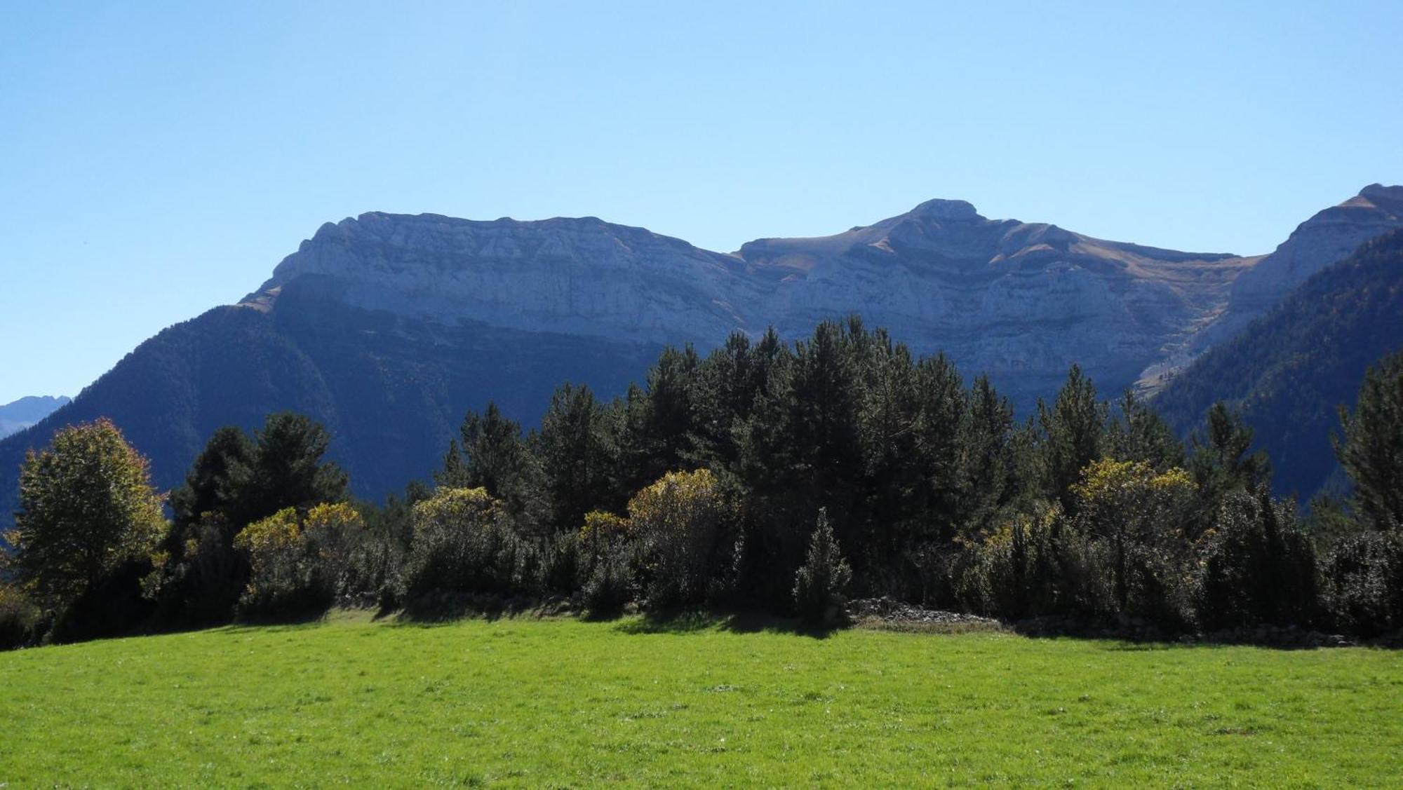 Camping Pineta Ξενοδοχείο Bielsa Εξωτερικό φωτογραφία